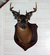 Opa's Chalet - Deer